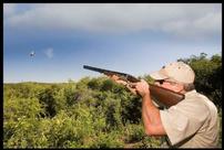 Dove Hunt in Fort Worth! 202//136